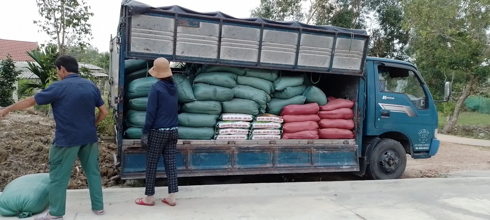 Cung cấp nguyên vật liệu hộ dân tham gia Dự án cà chua tại xã Thủy Phù