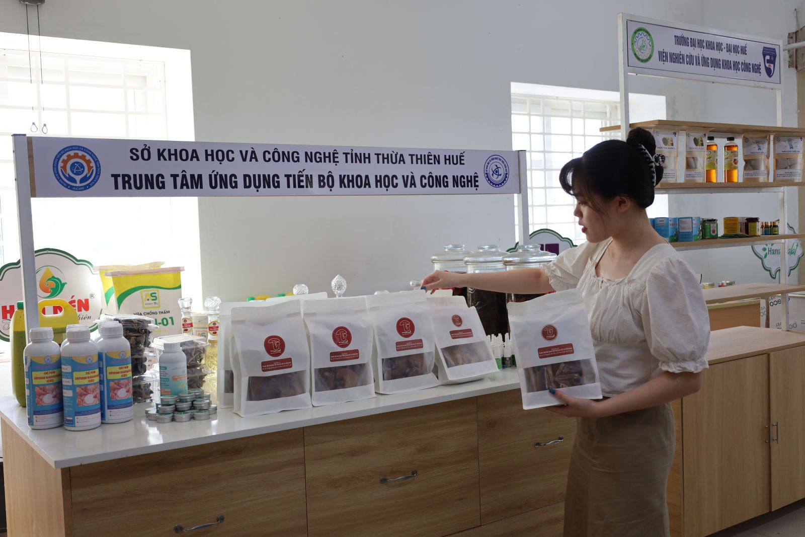 NẤM LINH CHI – LOẠI DƯỢC LIỆU ĐỒNG HÀNH CHĂM SÓC SỨC KHOẺ CỦA MỌI NHÀ